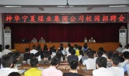 神华集团爆料新闻报道最新,揭秘能源巨头转型之路与未来战略布局