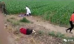 藁城爆料最新事件,突发冲突引发社会关注